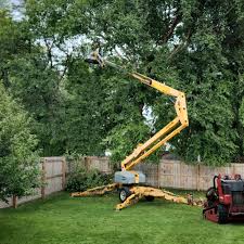 Best Tree Preservation Services  in Gooding, ID