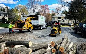 Best Firewood Processing and Delivery  in Gooding, ID