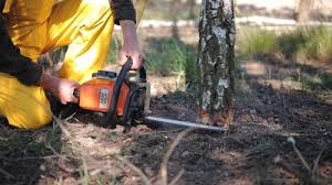 Best Mulching Services  in Gooding, ID