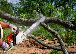 Seasonal Cleanup (Spring/Fall) in Gooding, ID