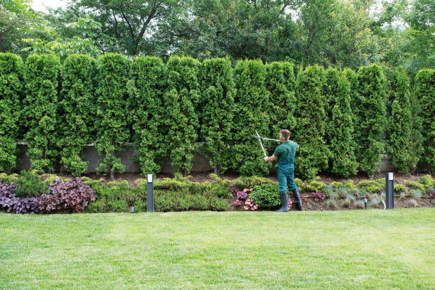 Artificial Turf Installation in Gooding, ID