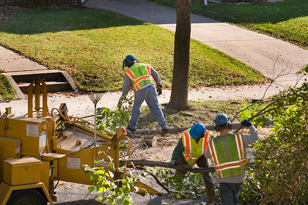 Best Lawn Pest Prevention  in Gooding, ID